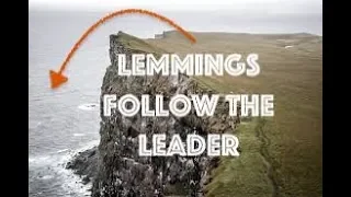 The lemmings Jumped off the Cliff