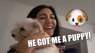 GIRLFRIEND PUPPY SURPRISE! (she cries)