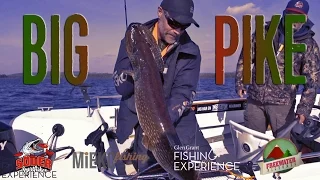 Glen Grant Fishing Experience - North Of Sweden