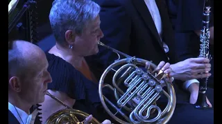 Strauss's Ein Heldenleben, Horn Solo