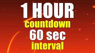 1 hour 60 sec interval countdown timer with voice