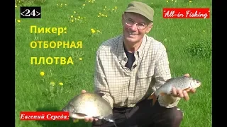 24. Пикер и отборная плотва. "All-in Fishing". Вып. 24.