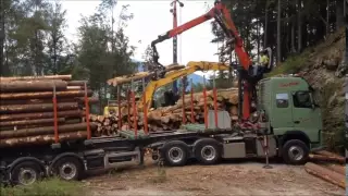 Holztransport Volvo + Sattelauflieger