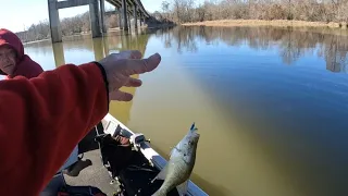 Crappie fishing the jig they can't resist