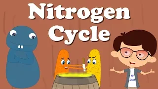 Nitrogen Cycle | #aumsum #kids #science #education #children