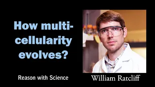 How multicellularity evolves | William Ratcliff | Reason with Science | Origin and evolution of life