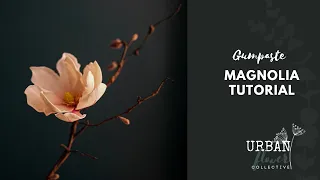 How to make a gumpaste / flower paste /sugar Magnolia branch - a step by step tutorial