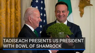 Taoiseach presents US President Joe Biden with bowl of shamrock