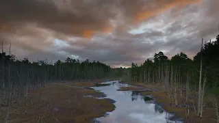 Drone Milkyway Timelapse in NJ Pine Barrens - Tabernacle, NJ 4K