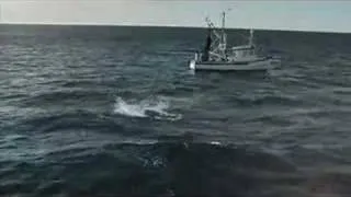 JOHN WEST TUNA TO GO AD SHARK VS FISHERMAN