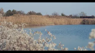 Бейсугский лиман| Приморско-Ахтарский район