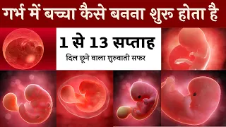 1 से 13 सप्ताह (1-3 महीनें) गर्भ में शिशु का विकास How A Baby Developed in 1 to 3 Month