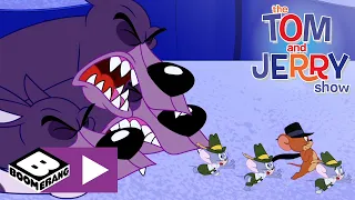 Tom & Jerry | Dreiköpfiger Hund | Cartoonito