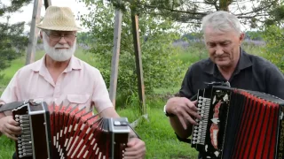 Russian folk song.ЭТО ШИКАРНЫЙ БУКЕТ ЧУДЕСНОЙ МУЗЫКИ и ИГРЫ  на гармошках