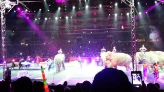 Ringling Bros. Elephants Show