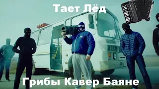 Грибы - Тает Лед На баяне( Акапелла гр.Грибы)