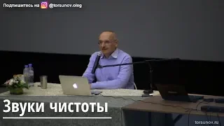 Торсунов О.Г.  Звуки чистоты