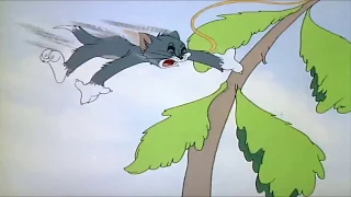 Tom and jerry english episodes 💥Mouse Trouble 💥 Kids Cartoons