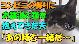 コンビニの帰りに路地裏で猫を拾ってきた夫「お父さん、私はお醤油っていったんですけど」しかし、その後うちの庭一面に綺麗な花が咲きほこり奇跡が起こったのだった【猫の不思議な話】