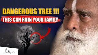 BEWARE! This Type Of Tree Can Ruin Your Family | Sadhguru