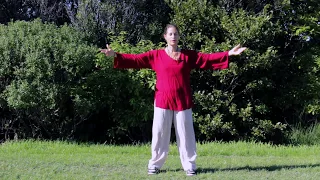 Tai Chi 5 Minutes a Day Module 04 - Cloud Hands - Single Whip - Snake Creeps down