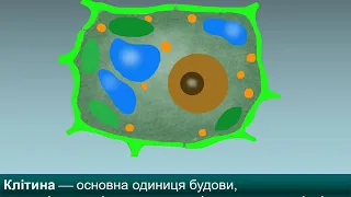 Урок біології в 6 класі "Загальний план будови клітини". Вчитель Рясіков Л. В. школа №32 м. Одеса