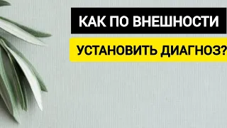 1.3. Как связаны ваши болезни и эмоции. Лекция для студентов-психологов