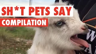 Sh*t Pets Say Video Compilation 2016