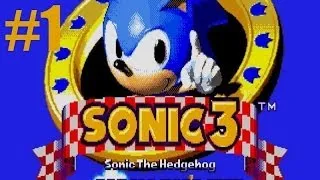 Sonic the Hedgehog 3 and Knuckles - Angel Island Act 1