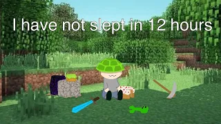 Sleep Deprived Shenanigans: Minecraft Edition