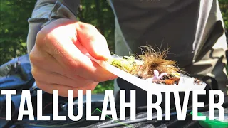 Tallulah River, North Georgia | WORTH THE DRIVE?? (fly fishing)