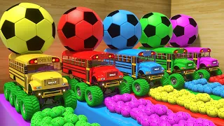 Bingo Song + Humpty Dumpty Song - Soccer ball shaped wheels - Baby Nursery Rhymes & Kids Songs