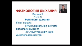 Лекция 20 (часть 1). Регуляция дыхания