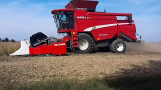 Tecnomais S.rl. |  Combine heads for threshing machines