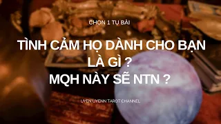 Chọn 1 Tụ Bài - Tình cảm họ dành cho bạn là gì ? Mối quan hệ sẽ như thế nào trong tương lai ?