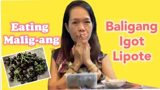 Eating Malig-ang(Baligang, Igot, Lipote) | Philippines berry good for blood pressure & cholesterol