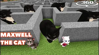 MAXWELL THE CAT Chasing US in MAZE in Minecraft 360°