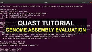 Evaluate Bacterial Genome Assembly with QUAST   Episode 1