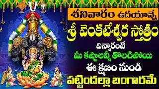 SRI VENKATESWARA STOTRAM TELUGU LYRICS శనివారం వింటే మీ కష్టాలన్నీ తొలగిపోయి పట్టిందల్లా బంగారమే