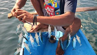 Saking Rakusnya ikan naik di permukaan, Mancing ikan tongkol modal benang sutra, tehnik kotrekan