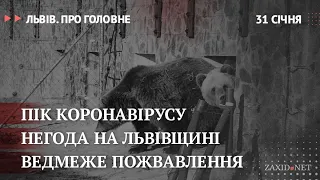 Коронавірус у Львові, негода, ведмеже пожвавлення | Львів. Про головне за 31 січня