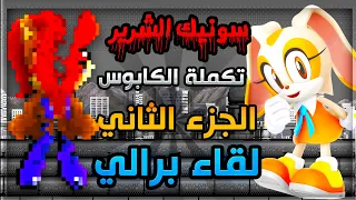 سونيك الشرير تكملة الكابوس الجزء الثاني لقاء برالي المرعب 😱 | Sally.exe Cn EOT #3