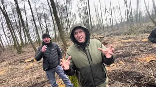 Нервові бізники ріжуть вільху.