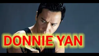 Film Terbaru Donnie yan full movie