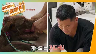 [#개는훌륭하다] 광란의 개 페터데일 테리어 '보리' 🐶 그리고 묵묵히 기다리는 강훈련사?ㅣKBS 210816 방송