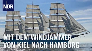 Kreuzfahrt unter weißen Segeln | die nordstory | NDR