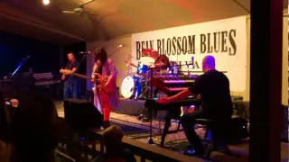 Whole Lotta Love - Danielle Nicole Band - @ The Bean Blossom Fest 2015