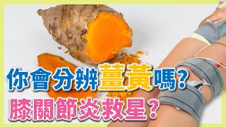 薑黃粉你分辨得出來嗎? 春薑黃 秋薑黃? 紅薑黃? 薑黃素功效是什麼? 蹲下去起不來怎麼辦? 膝蓋發炎的救星?