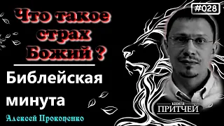 028. Что такое страх Божий? Книга притчей | Библейская минута | Алексей Прокопенко