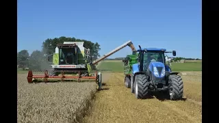 Żniwa na Podlasiu 2017 |Claas Dominator 108sl Maxi & New Holland & Zetor|